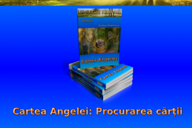 Cartea Angelei: Procurarea cărţii